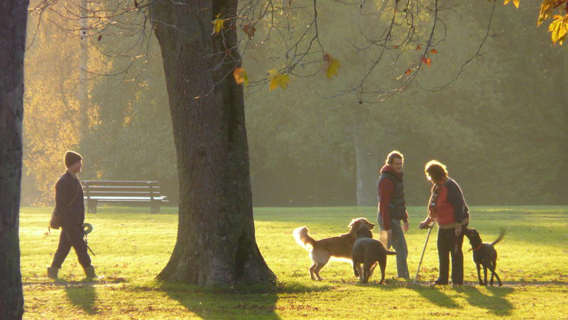 Stourhead-r-autumn4-18-11-14-1140159.JPG