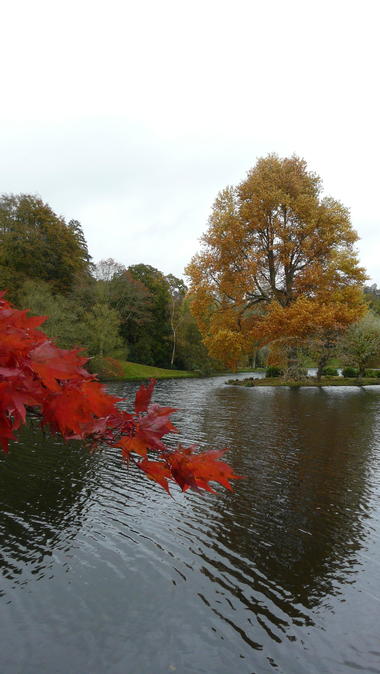 Stourhead-r-autumn3-1130766.JPG