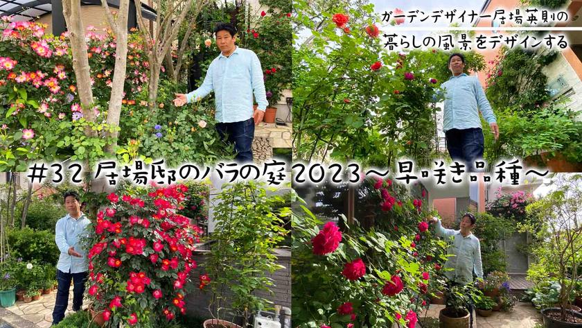 #32居場邸のバラの庭2023早咲き品種.jpg