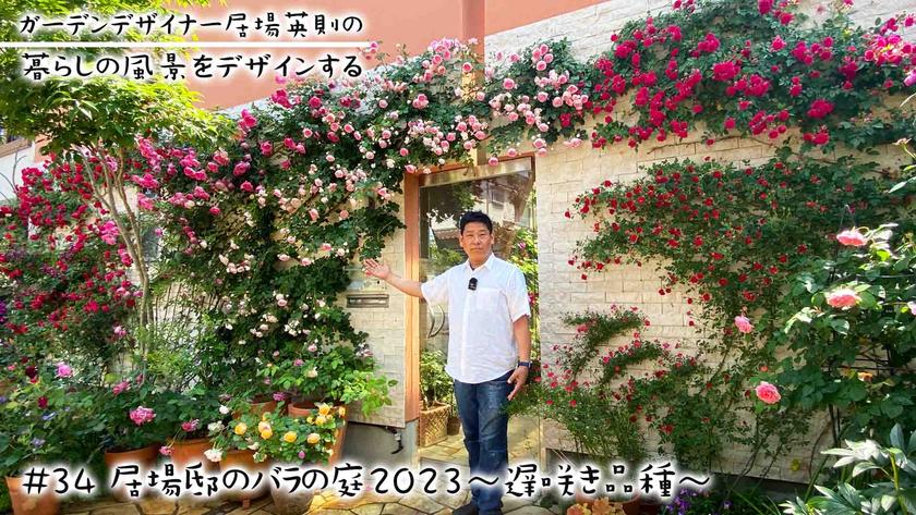 #34居場邸のバラの庭2023遅咲き品種.jpg