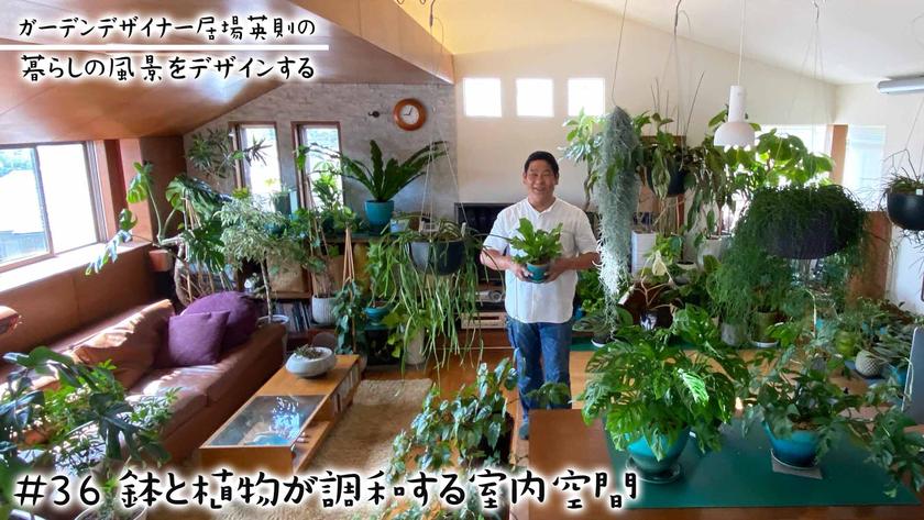 #36鉢と植物が調和する室内空間.jpg