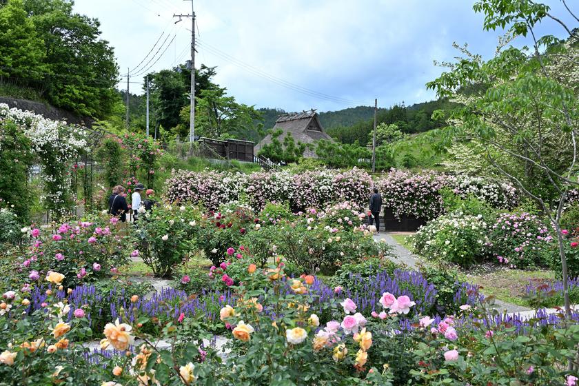 DSC_0545.JPG