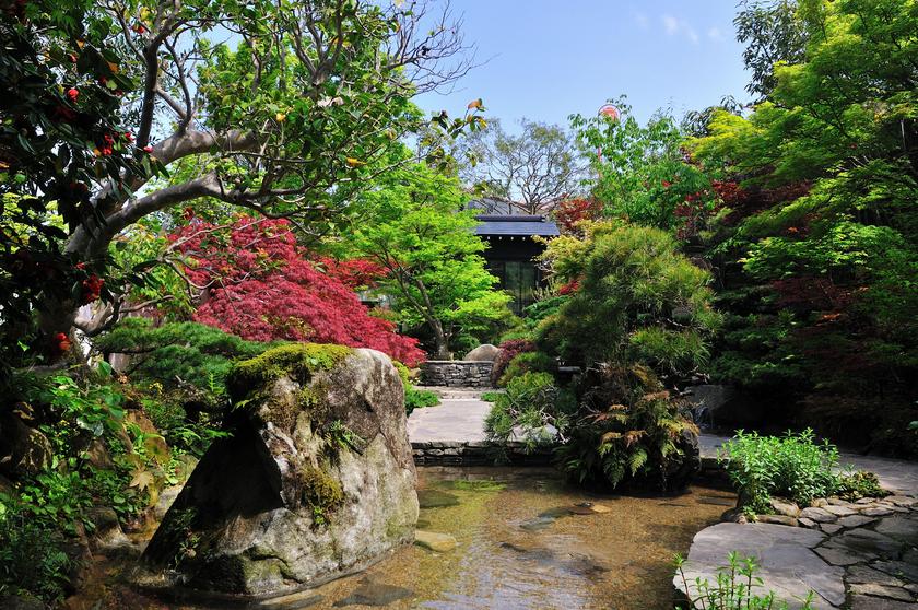 DSC_1607.jpg