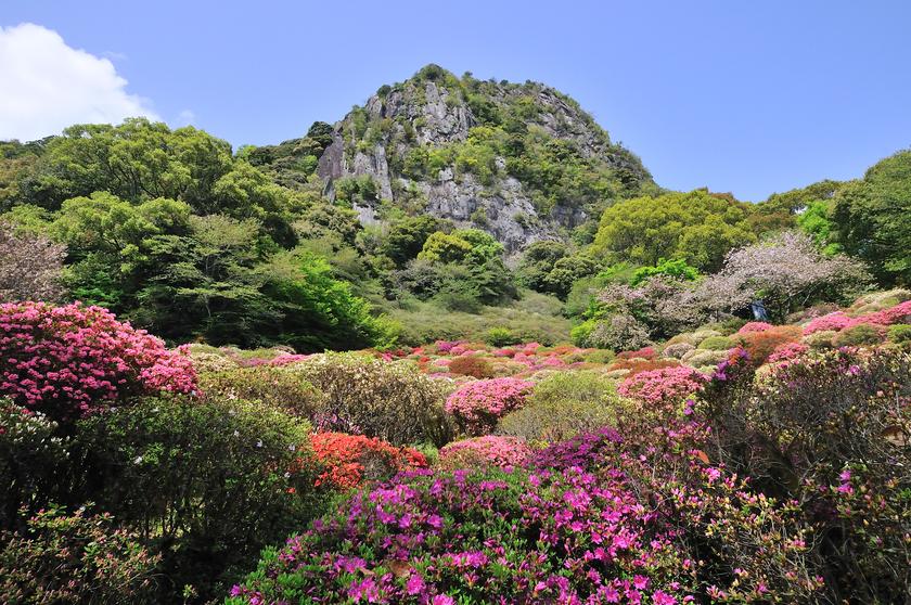 DSC_1913.jpg