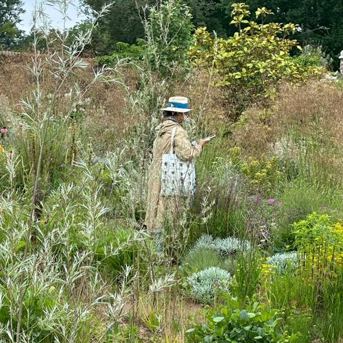 イングリッシュガーデンの旅　4  Knepp rewilding