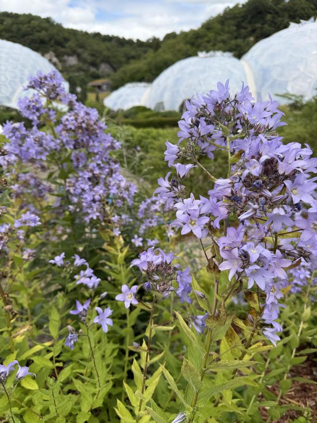 IMG_7551.jpeg