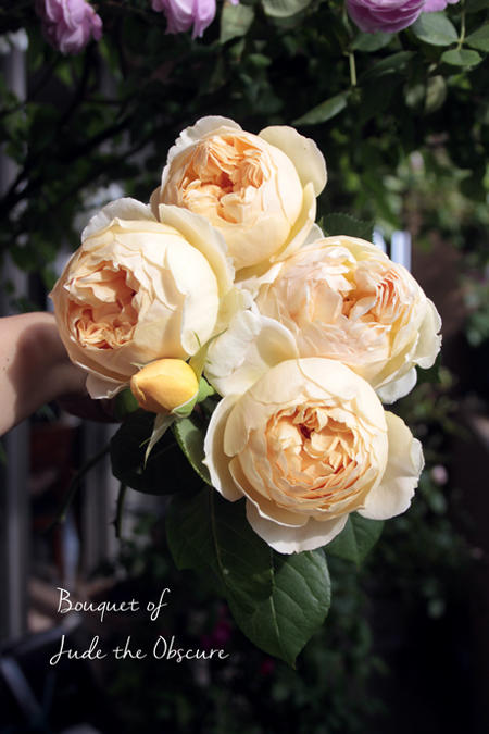 2016050106.jpg